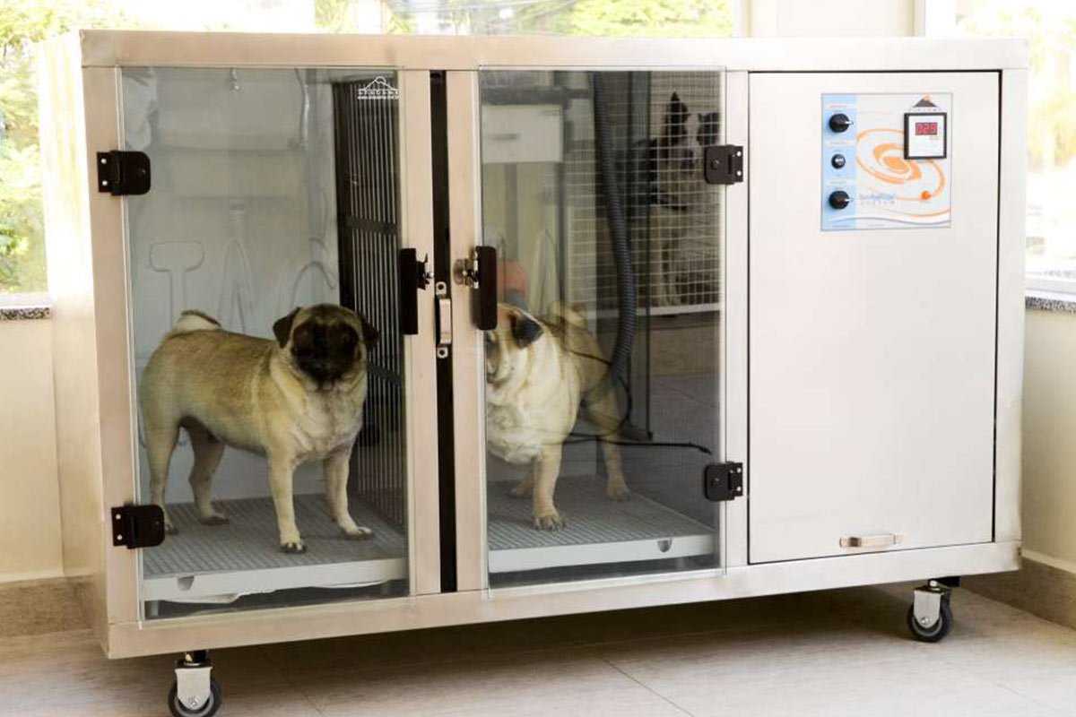 Estética Animal & Spa - Pet Paixão