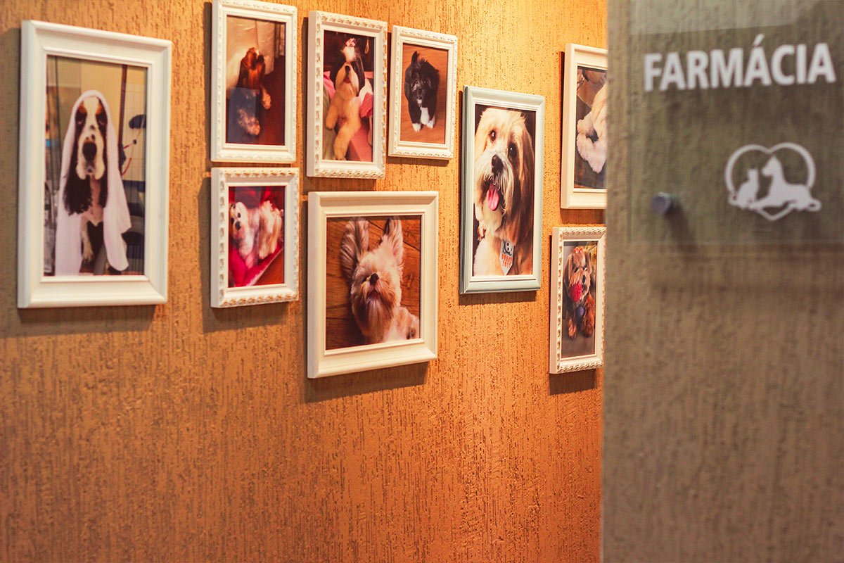 Saúde Veterinária Completa & Preventiva - Pet Paixão